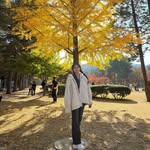 @chingliu.0522 - Instagram
