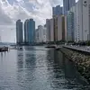 似曾相識 - @chingwu00 - TikTok