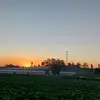 chino perez - @chinoperez588 - TikTok