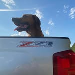 Chip Anderson - @chip7882 - Instagram