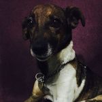 Chip Bailey - @chip_dip_flip_pip - Instagram