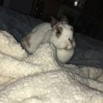 @chip.barnhart - Instagram