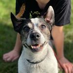 Chip Bates - @jrt_chip - Instagram