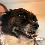 Chip Bates - @cbates021 - Instagram
