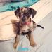 Chip Bates - Facebook