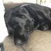 Chip Rodney Bates - Facebook