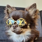 chichi.prince.Bentley - @chichi.prince.bentley - Instagram