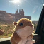 Chip Block - @chip_on_adventures - Instagram