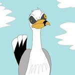 Chip off the old block - @perthseagulls - Instagram