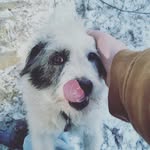 Chip Boggs - @thicctaterchip - Instagram