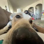 Bradleychip420 - @bradleychip420 - Instagram