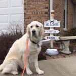 Chip Carter - @chip.carter.351 - Instagram