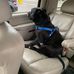 Chip Clark - Facebook