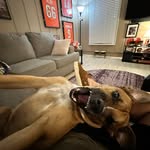 Chip Cooper - @chip.cooper.16 - Instagram