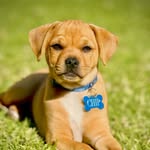 Chip Bone-Cox - @chipbonecox - Instagram