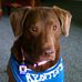 Chip Dennis - Facebook