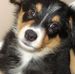 Chip Dennis - Facebook
