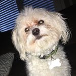 @eagle.ace.chip - Instagram