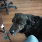 Chip Ellis - @chip.ellis.1614 - Instagram