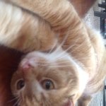 Chip Kelly Fuller - @chip_kelly_fuller - Instagram