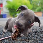 Chip Garrett - @chip.garrett.50 - Instagram