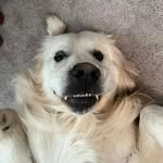 Chip Akers - @chip_george_akers - Instagram