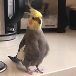 Chip George - @chip_george_ - Instagram