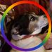 Chip Grant - Facebook