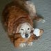 Chip Grant - Facebook