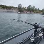 Chip Hamilton - @chips_custom_tackle - Instagram