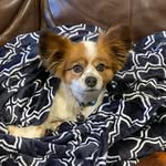 Chip Henderson - @chipper_wupper - Instagram