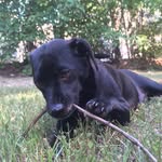 Chip Ingram - @chipthetraveler - Instagram