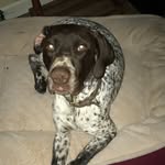 chip_marshall - @chip_marshall - Instagram