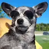 Chip Mitchell - @chip.mitchell - TikTok