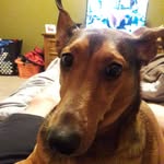 Chip Myers - @baseball_man15 - Instagram