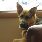 Chip Myers - @chipdog2012 - Instagram
