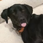 Chip Potter - @chipp_what - Instagram