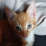 Chip Potter-walker - @chippotterwalker - Instagram