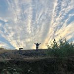 Chip Richardson - @chipbullit1 - Instagram