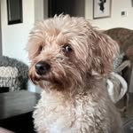Chip Riggs - @itschipriggs - Instagram