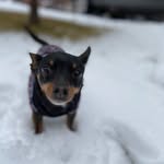 Chip - @chip_starr__ - Instagram
