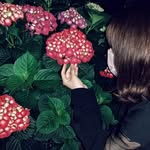 あおい - @chip_starr06 - Instagram