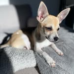 Chip Starr - @chipstarr1 - Instagram