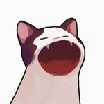 ともや - @chipstarr22 - Instagram