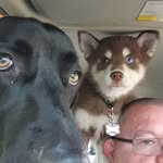 Chip Stevens - @gollum1104 - Instagram