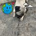 Chip Stewart - Facebook
