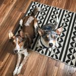 Chip & Narles Turner - @chipnarles - Instagram