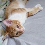 Chip Turner - @chip_the_slink_meister - Instagram