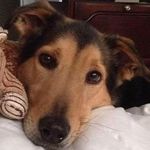 Chip Walker - @cwalkers3 - Instagram