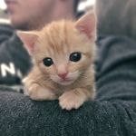 Chip Walker - @adventures_of_chip - Instagram